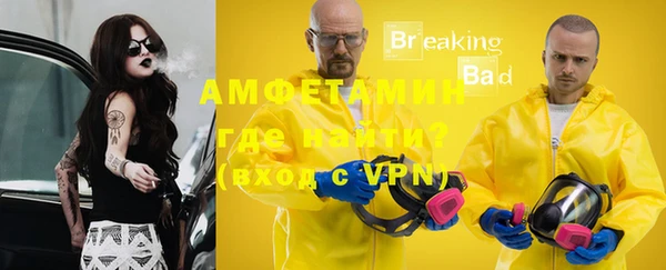 прущие грибы Пересвет