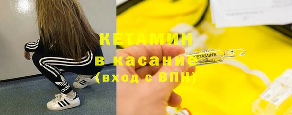 прущие грибы Пересвет