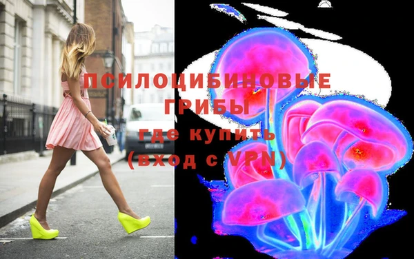 дживик Алзамай