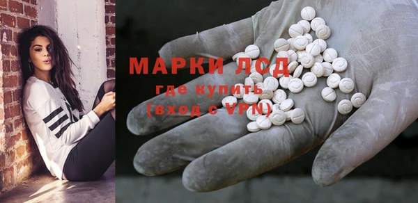 прущие грибы Переславль-Залесский
