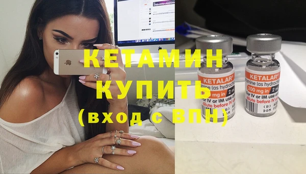 прущие грибы Пересвет