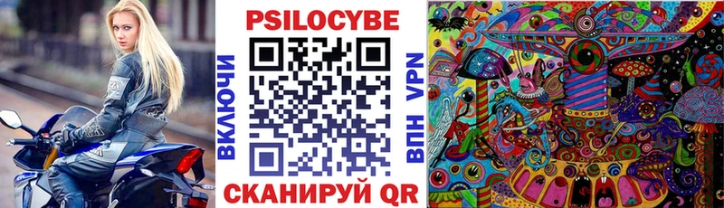 Галлюциногенные грибы Psilocybe  даркнет сайт  Бахчисарай 