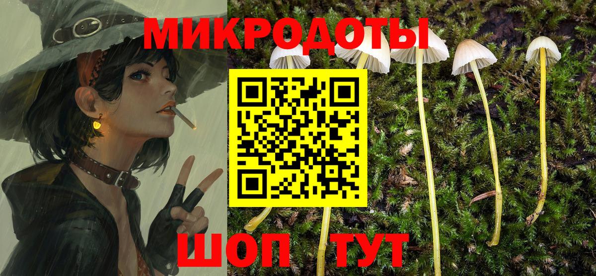 Псилоцибиновые грибы мухоморы Бахчисарай