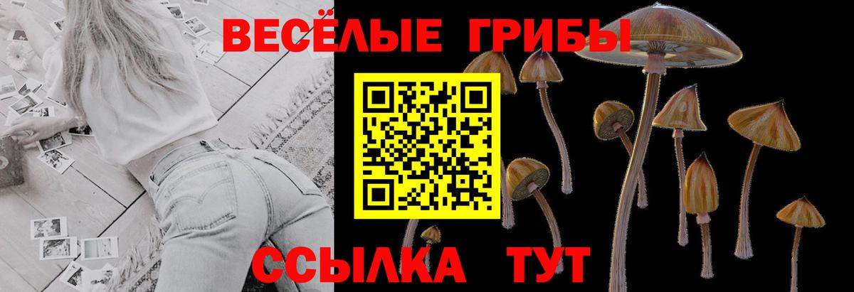 Галлюциногенные грибы Psilocybe  купить закладку  Бахчисарай  Галлюциногенные грибы Psilocybe  Вход с VPN 
