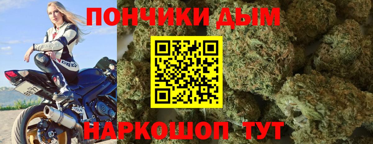 Шишки марихуана марихуана Бахчисарай